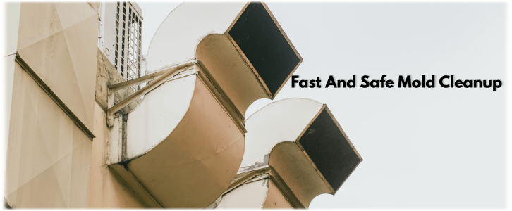 Air Duct Mold Removal in Dallas TX